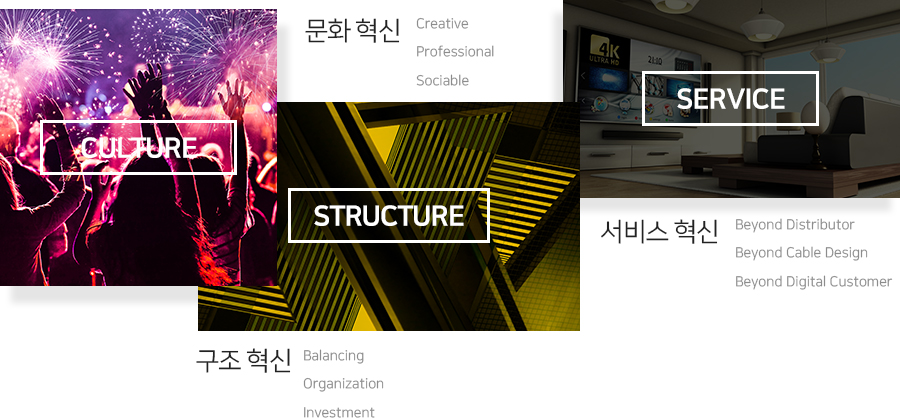 culture 문화 혁신 creative professional sociable, structure 구조 혁신 balancing oraganization investment, service 서비스 혁신 beyound distributor beyond cable design beyond disital customer